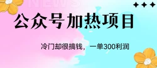 冷门公众号加热项目,一单利润300+-靠谱项目库