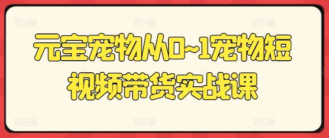 元宝宠物从0~1宠物短视频带货实战课-靠谱项目库
