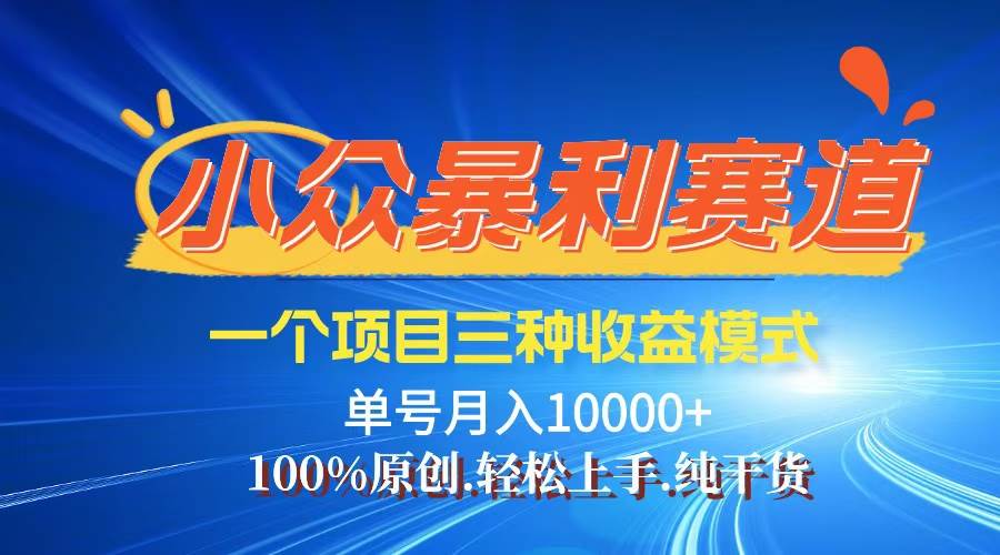 （12579期）【老人言】-视频号爆火赛道，三种变现方式，0粉新号调调爆款-靠谱项目库