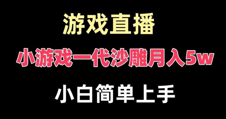 玩小游戏一代沙雕月入5w，爆裂变现，快速拿结果，高级保姆式教学【揭秘】-靠谱项目库