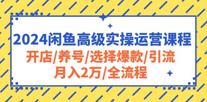 2024闲鱼高级实操运营课程:开店/养号/选择爆款/引流/月入2万/全流程-靠谱项目库