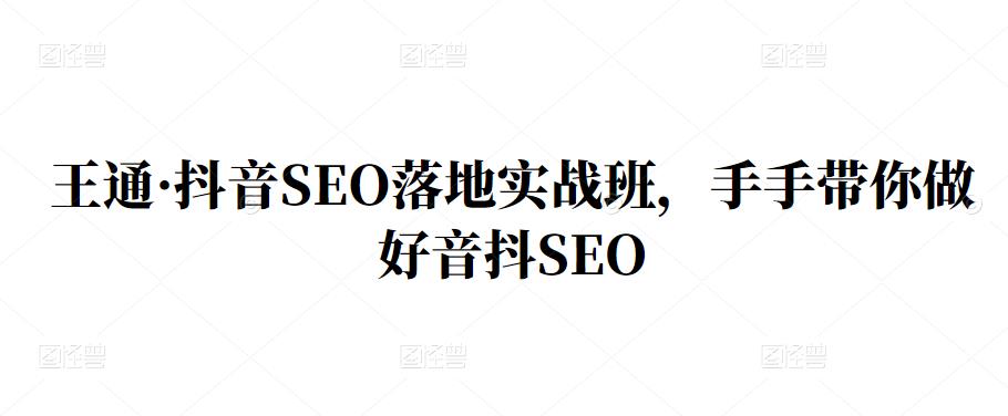 王通·抖音SEO落地实战班，手‬手带你做好音抖‬‬SEO-靠谱项目库