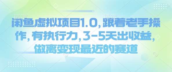 闲鱼虚拟项目1.0，跟着老手操作，有执行力，3-5天出收益，做离变现最近的赛道-靠谱项目库