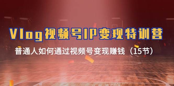 Vlog视频号IP变现特训营，普通人如何通过视频号变现赚钱（15节）-靠谱项目库