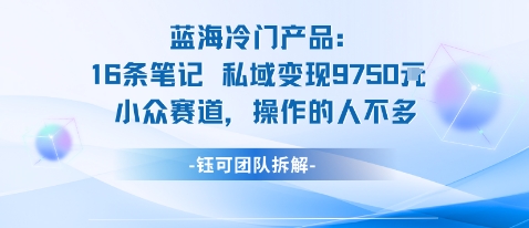 蓝海项目：16条笔记私域变现9750米小众赛道操作的人不多-靠谱项目库