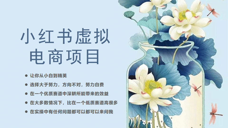 小红书虚拟电商从0到1，让你从小白到精英（20节实操课程）-靠谱项目库