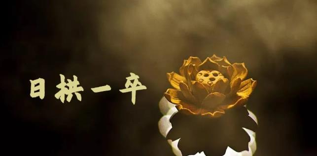 无脑搬砖,普通人可以复制的副业赚钱项目(附软件)-靠谱项目库
