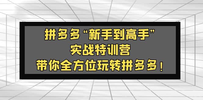 拼多多“新手到高手”实战特训营：带你全方位玩转拼多多-靠谱项目库