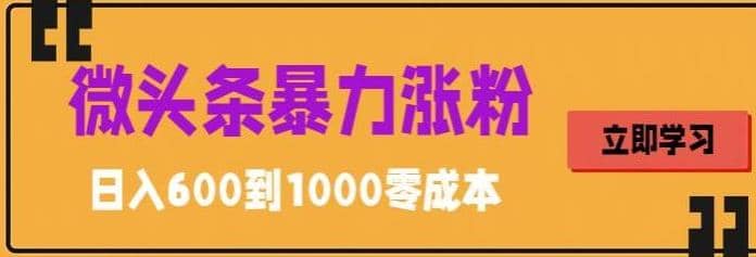 微头条暴力涨粉技巧搬运文案就能涨几万粉丝，简单0成本，日赚600-靠谱项目库