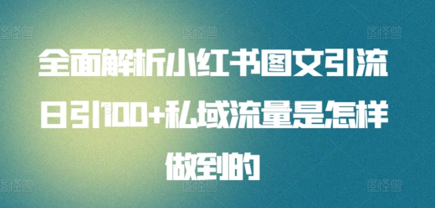日引流100私域流量小红书图文是怎样做到的全面解析-靠谱项目库