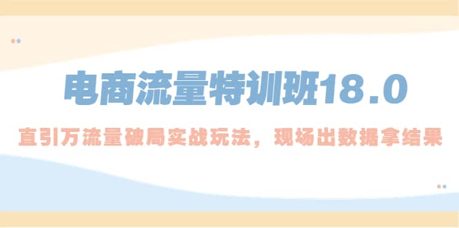 电商流量特训班18.0，直引万流量破局实操玩法，现场出数据拿结果-靠谱项目库