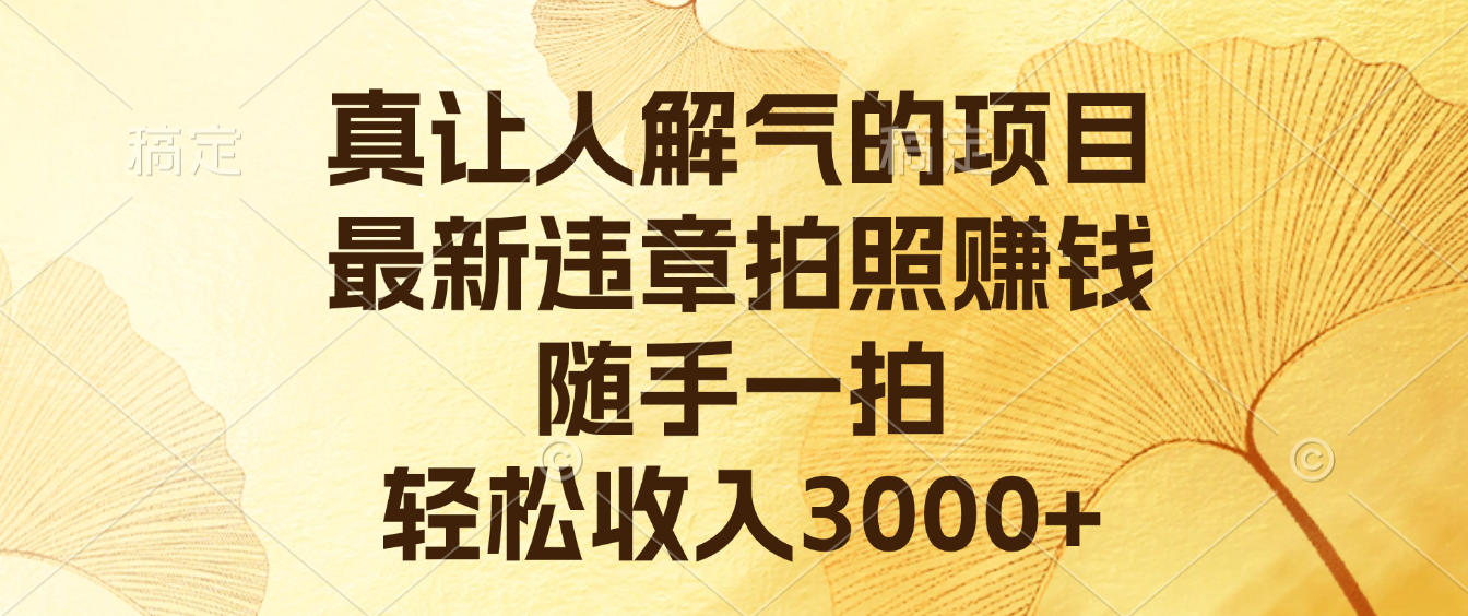 真让人解气的项目,最新违章拍照赚钱,随手一拍,轻松收入3000+-靠谱项目库