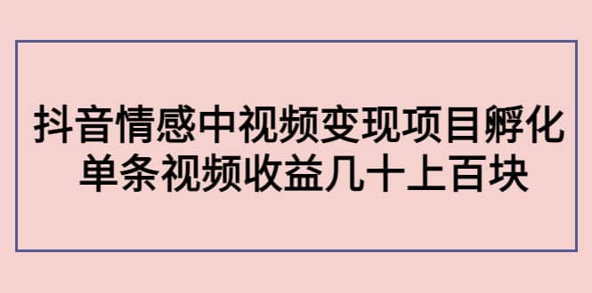 抖音情感中视频变现项目孵化-靠谱项目库