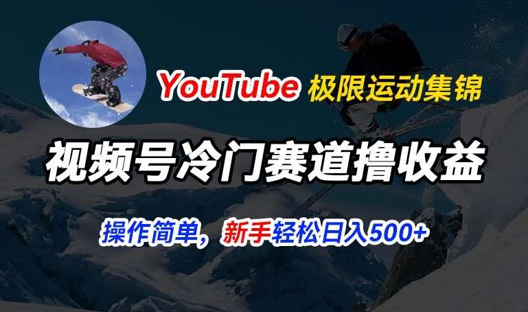 视频号冷门赛道撸收益,YouTube搬运极限运动集锦,暴力起号,操作简单流量高,轻松日入5张【揭秘】-靠谱项目库