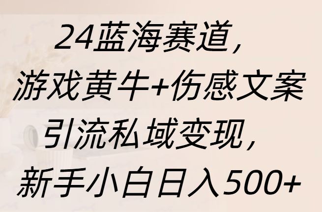 24蓝海赛道,游戏黄牛+伤感文案引流私域变现,新手日入500+-靠谱项目库