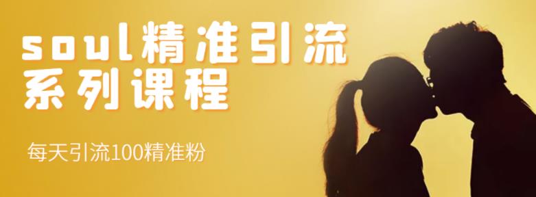 soul精准引流系列课程,每天引流100精准粉-靠谱项目库