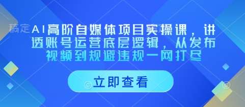 AI高阶自媒体项目实操课,讲透账号运营底层逻辑,从发布视频到规避违规一网打尽-靠谱项目库