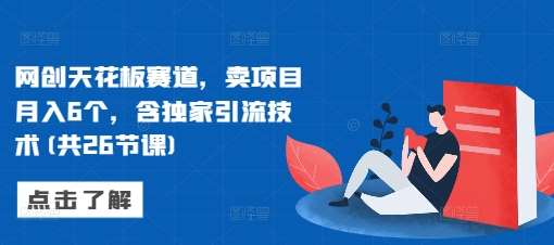 网创天花板赛道,卖项目月入6个,含独家引流技术(共26节课)-靠谱项目库