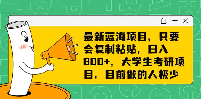最新蓝海项目,只要会复制粘贴,日入800+,大学生考研项目,目前做的人极少-靠谱项目库