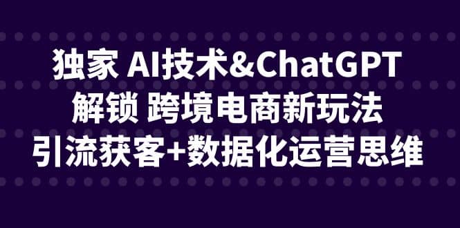 独家 AI技术ChatGPT解锁 跨境电商新玩法,引流获客+数据化运营思维-靠谱项目库