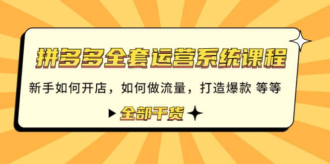 拼多多全套运营系统课程：新手如何开店 如何做流量 打造爆款 等等 全部干货-靠谱项目库