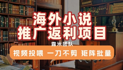 海外小说推广返利项目，视频投喂， 一刀不剪，矩阵批量-靠谱项目库