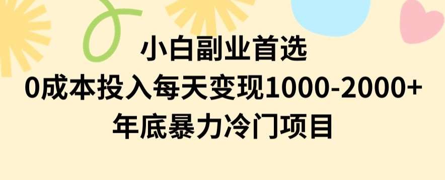 小白副业首选，0成本投入，每天变现1000-2000年底暴力冷门项目【揭秘】-靠谱项目库