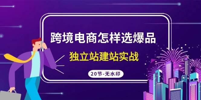 （9369期）跨境电商怎样选爆品，独立站建站实战（20节高清无水印课）-靠谱项目库