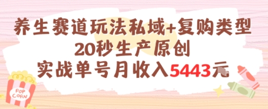 养生赛道玩法私域+复购类型，20秒生产原创实战单号月收入5k+-靠谱项目库