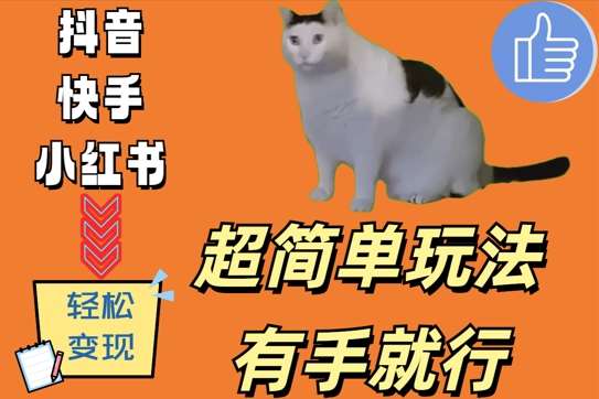 超简单玩法，有手就行，靠猫咪视频日入500+【揭秘】-靠谱项目库
