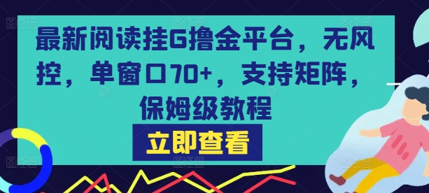 最新阅读挂G撸金平台，无风控，单窗口70+，支持矩阵，保姆级教程【揭秘】-靠谱项目库