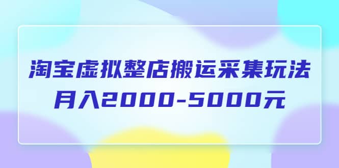 淘宝虚拟整店搬运采集玩法分享课:月入2000-5000元(5节课)-靠谱项目库
