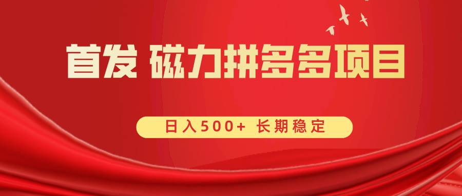 （8611期）首发 磁力拼多多自撸  日入500+-靠谱项目库
