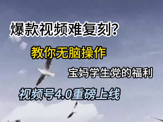 视频号4.0重磅上线，爆款视频难复刻？教你无脑操作宝妈学生党的福利【揭秘】-靠谱项目库