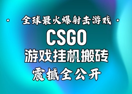 【年底大揭秘】基于全球最火爆的射击CSGO游戏挂G搬砖，日入5张+，震撼公开-靠谱项目库
