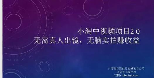 小淘项目组网赚永久会员，绝对是具有实操价值的，适合有项目做需要流程【持续更新】-靠谱项目库