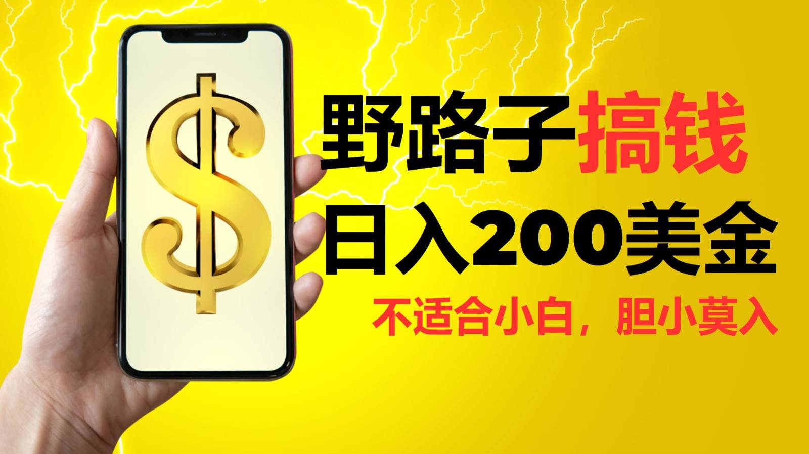 挂机野路子搞钱，日入200美金，路子很野，小白莫入-靠谱项目库