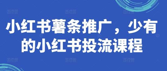 小红书薯条推广，少有的小红书投流课程-靠谱项目库