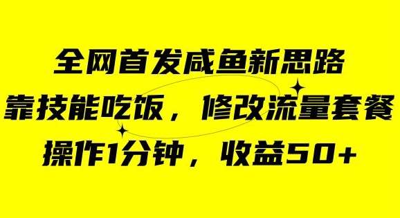 咸鱼冷门新玩法，靠“技能吃饭”，修改流量套餐，操作1分钟，收益50【揭秘】-靠谱项目库