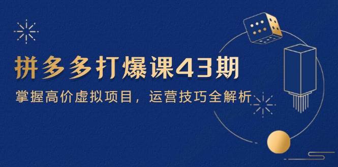 (14546期)拼多多打爆课第 43 期,掌握高价虚拟项目,运营技巧全解析(15节)-靠谱项目库