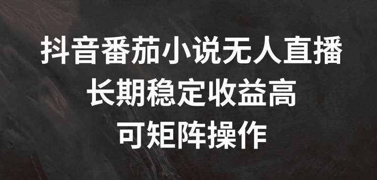 抖音番茄小说无人直播，长期稳定收益高，可矩阵操作【揭秘】-靠谱项目库