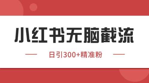 小红书只要你有同行就能获客，独家野路子获客玩法，暴力截流【揭秘】-靠谱项目库