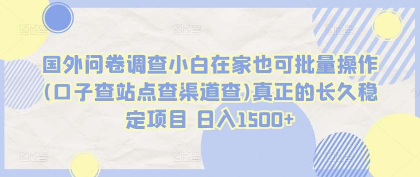 国外问卷调查小白在家也可批量操作(口子查站点查渠道查)真正的长久稳定项目 日入1500+【揭秘】-靠谱项目库