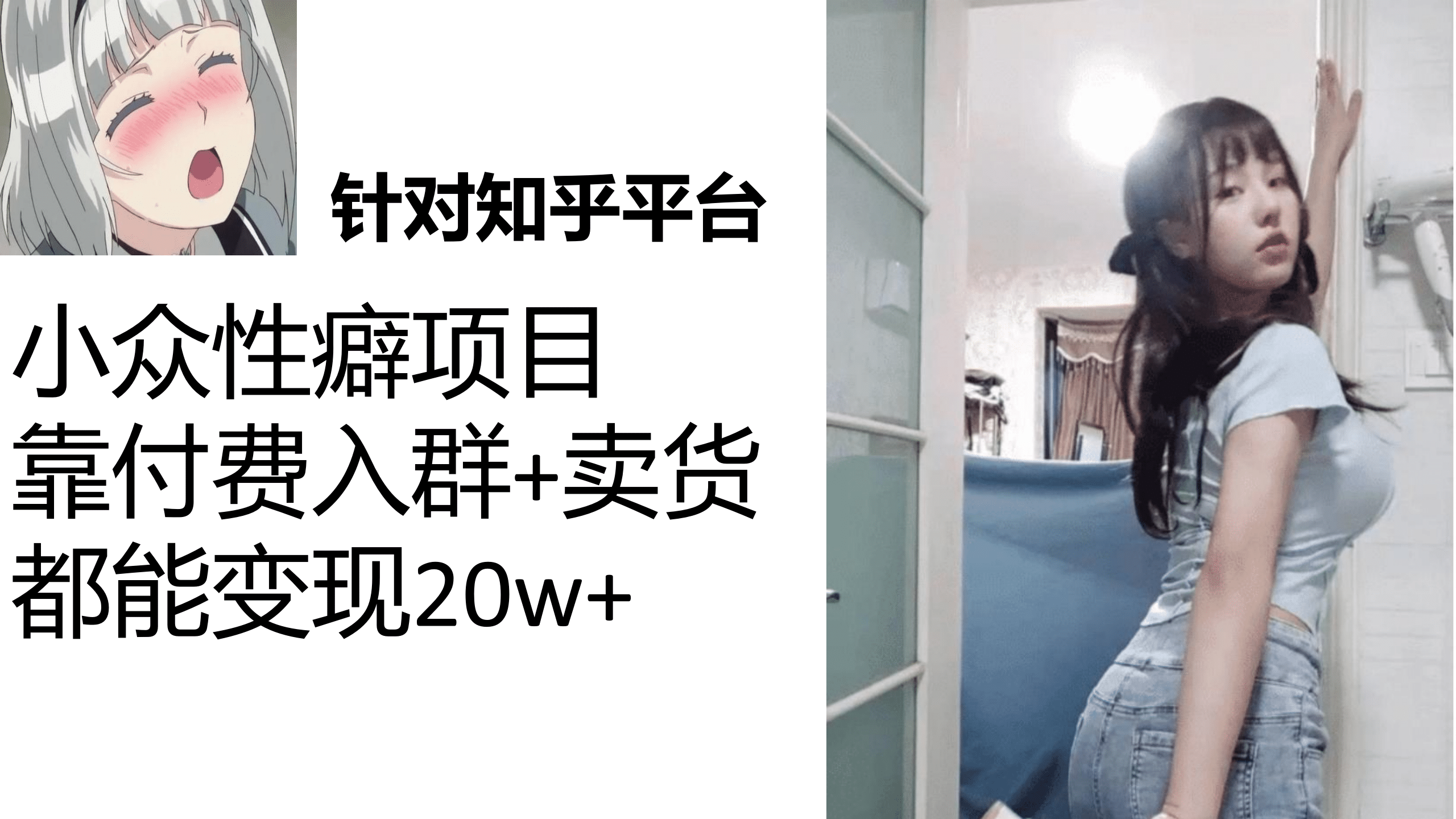 知乎小众性癖项目，Lsp的钱才是最好赚的，付费建群+卖货变现20w-靠谱项目库