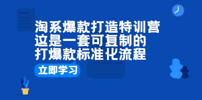 淘系爆款打造特训营:这是一套可复制的打爆款标准化流程-靠谱项目库