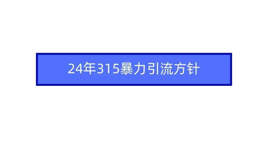 （9398期）2024年315暴力引流方针-靠谱项目库