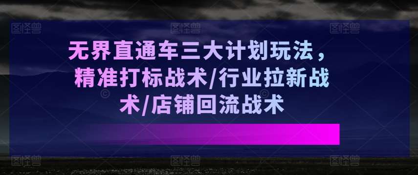 无界直通车三大计划玩法,精准打标战术/行业拉新战术/店铺回流战术-靠谱项目库
