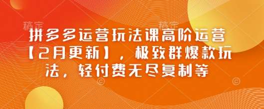 拼多多运营玩法课高阶运营【2月更新】,极致群爆款玩法,轻付费无尽复制等-靠谱项目库