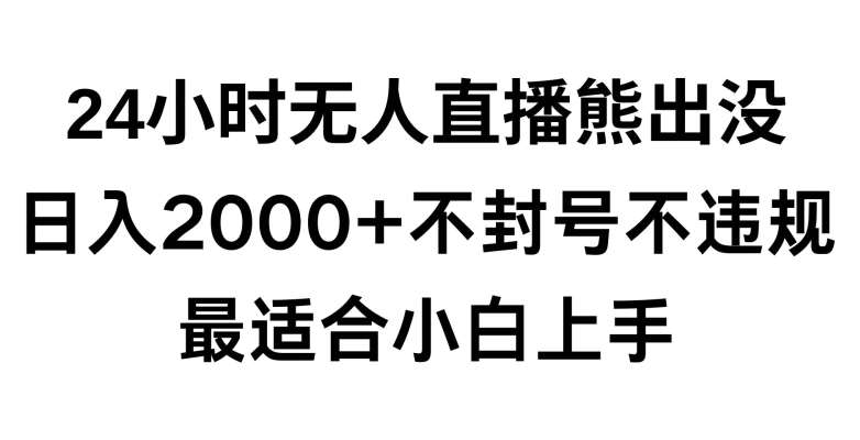 快手24小时无人直播熊出没,不封直播间,不违规,日入2000+,最适合小白上手,保姆式教学【揭秘】-靠谱项目库