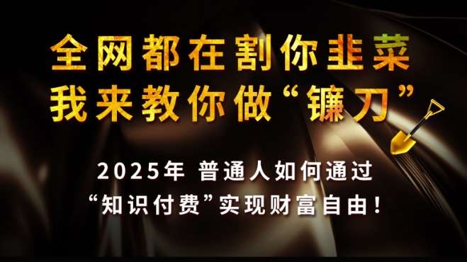 全网都在割你韭菜，我来教你做镰刀,2025普通人如何通过知识付费，实现财F自由【揭秘】-靠谱项目库
